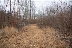 property photo for Southwind Ranch Tract 9, 6.06 acres for sale in Perry County, Tennessee