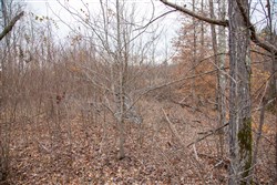 property photo for Southwind Ranch Tract 9, 6.06 acres for sale in Perry County, Tennessee