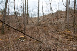 property photo for Southwind Ranch Tract 9, 6.06 acres for sale in Perry County, Tennessee