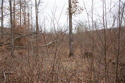 property photo for Southwind Ranch Tract 9, 6.06 acres for sale in Perry County, Tennessee