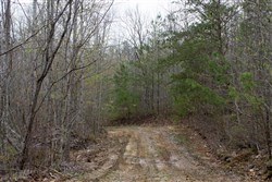 property photo for Hidden Hills Tract 1, 11.02 acres for sale in Sequatchie County, Tennessee