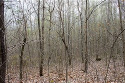 property photo for Hidden Hills Tract 1, 11.02 acres for sale in Sequatchie County, Tennessee