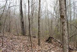 property photo for Hidden Hills Tract 1, 11.02 acres for sale in Sequatchie County, Tennessee