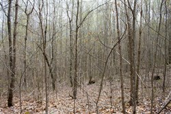 property photo for Hidden Hills Tract 1, 11.02 acres for sale in Sequatchie County, Tennessee