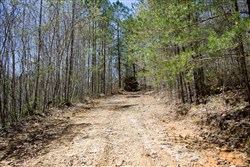 property photo for Hidden Hills Tract 10, 14.25 acres for sale in Sequatchie County, Tennessee