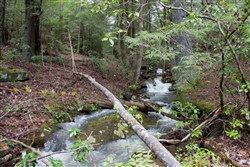 property photo for Hidden Hills Tract 10, 14.25 acres for sale in Sequatchie County, Tennessee