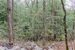 property photo for Hidden Hills Tract 10, 14.25 acres for sale in Sequatchie County, Tennessee