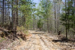 property photo for Hidden Hills Tract 10, 14.25 acres for sale in Sequatchie County, Tennessee