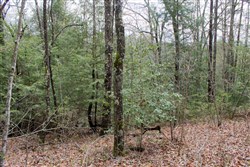 property photo for Hidden Hills Tract 10, 14.25 acres for sale in Sequatchie County, Tennessee