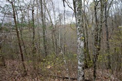 Hidden Hills Tract 11