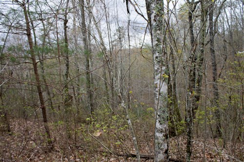 Hidden Hills Tract 11