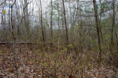 Hidden Hills Tract 11