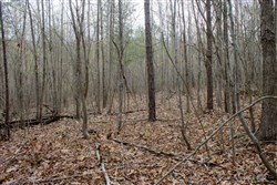 property photo for Hidden Hills Tract 12, 5.85 acres for sale in Sequatchie County, Tennessee