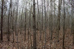 property photo for Hidden Hills Tract 12, 5.85 acres for sale in Sequatchie County, Tennessee