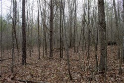 property photo for Hidden Hills Tract 12, 5.85 acres for sale in Sequatchie County, Tennessee