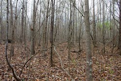 property photo for Hidden Hills Tract 12, 5.85 acres for sale in Sequatchie County, Tennessee