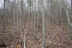 property photo for Hidden Hills Tract 12, 5.85 acres for sale in Sequatchie County, Tennessee