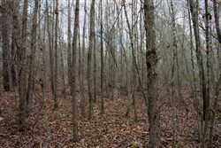 property photo for Hidden Hills Tract 13, 6.38 acres for sale in Sequatchie County, Tennessee