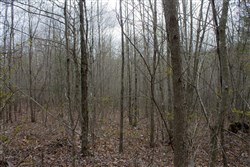 property photo for Hidden Hills Tract 13, 6.38 acres for sale in Sequatchie County, Tennessee