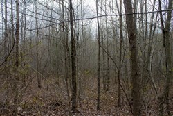 property photo for Hidden Hills Tract 13, 6.38 acres for sale in Sequatchie County, Tennessee