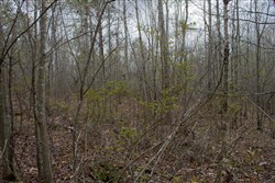 property photo for Hidden Hills Tract 13, 6.38 acres for sale in Sequatchie County, Tennessee