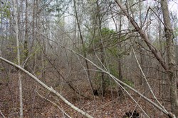 property photo for Hidden Hills Tract 13, 6.38 acres for sale in Sequatchie County, Tennessee