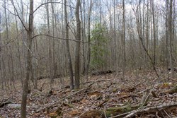 Hidden Hills Tract 14