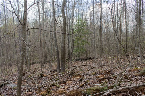 Hidden Hills Tract 14