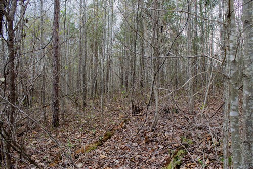 Hidden Hills Tract 14