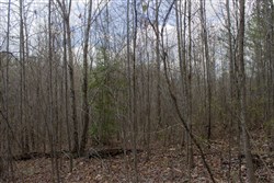 Hidden Hills Tract 14