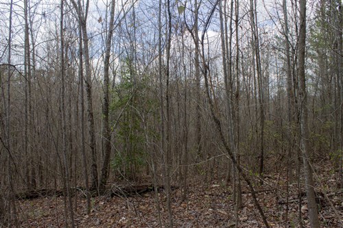 Hidden Hills Tract 14