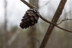 Hidden Hills Tract 14