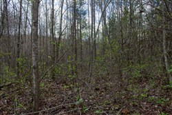 Hidden Hills Tract 14