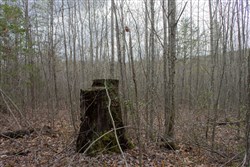 Hidden Hills Tract 14