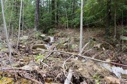 Hidden Hills Tract 15
