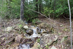 Hidden Hills Tract 15