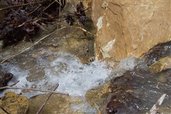 Hidden Hills Tract 15