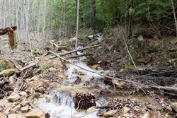Hidden Hills Tract 15
