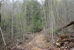 Hidden Hills Tract 15