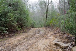 property photo for Hidden Hills Tract 16, 5.78 acres for sale in Sequatchie County, Tennessee
