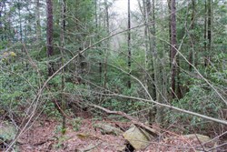 property photo for Hidden Hills Tract 16, 5.78 acres for sale in Sequatchie County, Tennessee