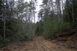 property photo for Hidden Hills Tract 16, 5.78 acres for sale in Sequatchie County, Tennessee