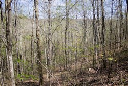 Hidden Hills Tract 17