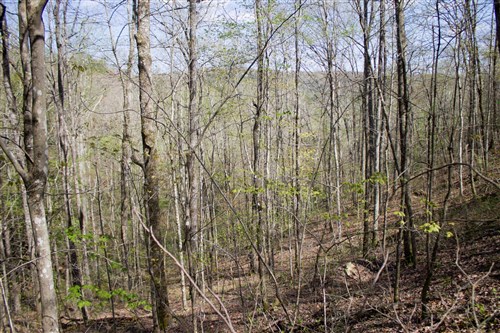 Hidden Hills Tract 17