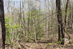 Hidden Hills Tract 17