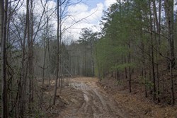 property photo for Hidden Hills Tract 18, 6.84 acres for sale in Sequatchie County, Tennessee