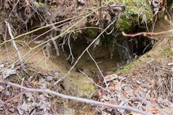 property photo for Hidden Hills Tract 18, 6.84 acres for sale in Sequatchie County, Tennessee