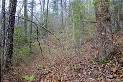 property photo for Hidden Hills Tract 18, 6.84 acres for sale in Sequatchie County, Tennessee