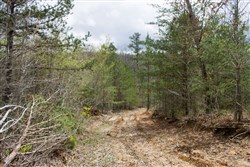 property photo for Hidden Hills Tract 19, 5.76 acres for sale in Sequatchie County, Tennessee