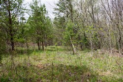 property photo for Hidden Hills Tract 19, 5.76 acres for sale in Sequatchie County, Tennessee